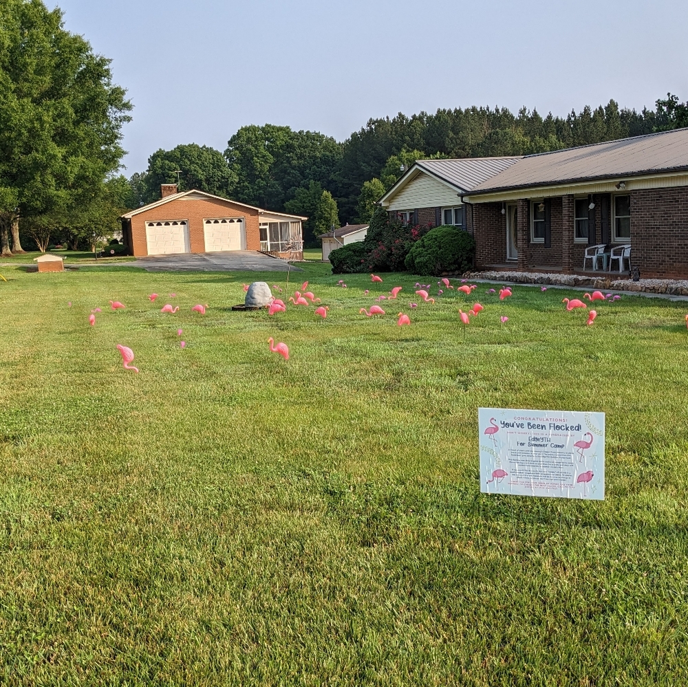 Flocked yard